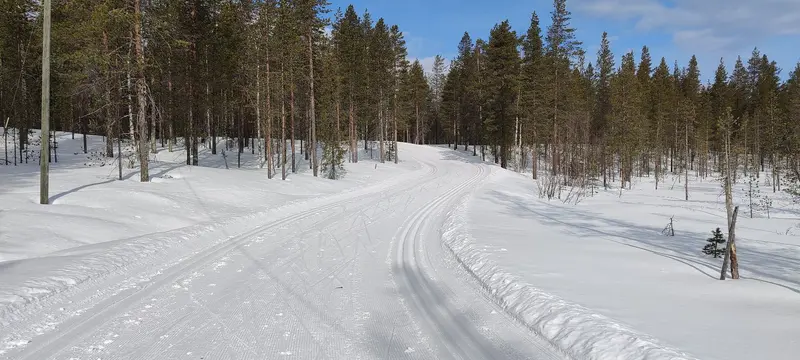 Huollettu hiihtoladun mutka kevätauringossa Levillä