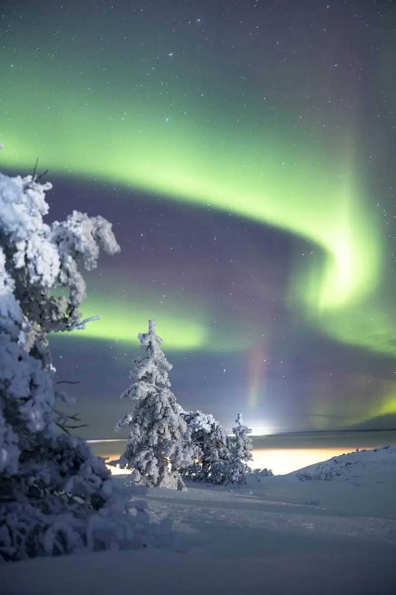 Revontulet tykkylumisten puiden yllä Levillä