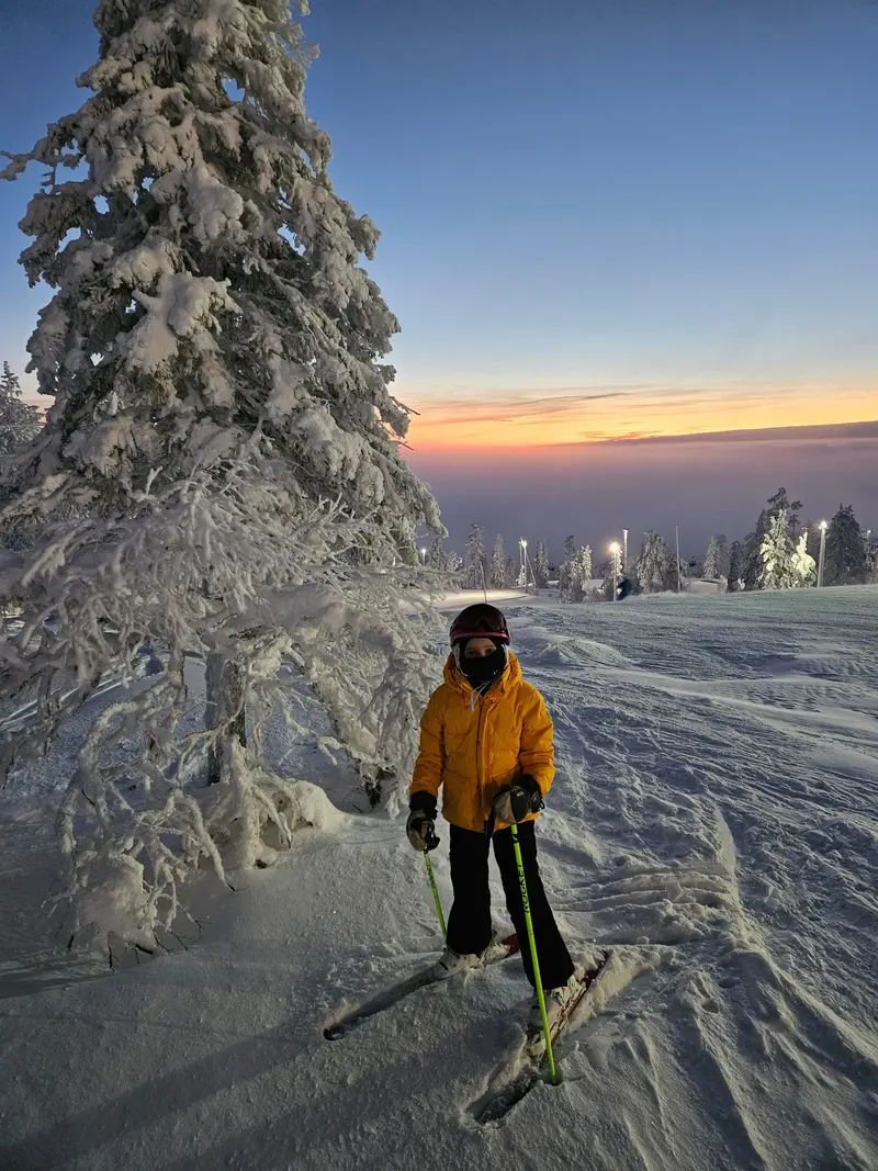 Child skiing next to a tykky tree at sunset in Levi
