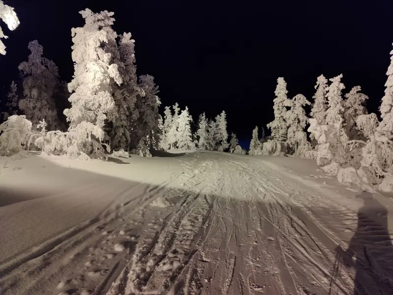 A lit cross-country trail and snowy trees in Levi during the polar night