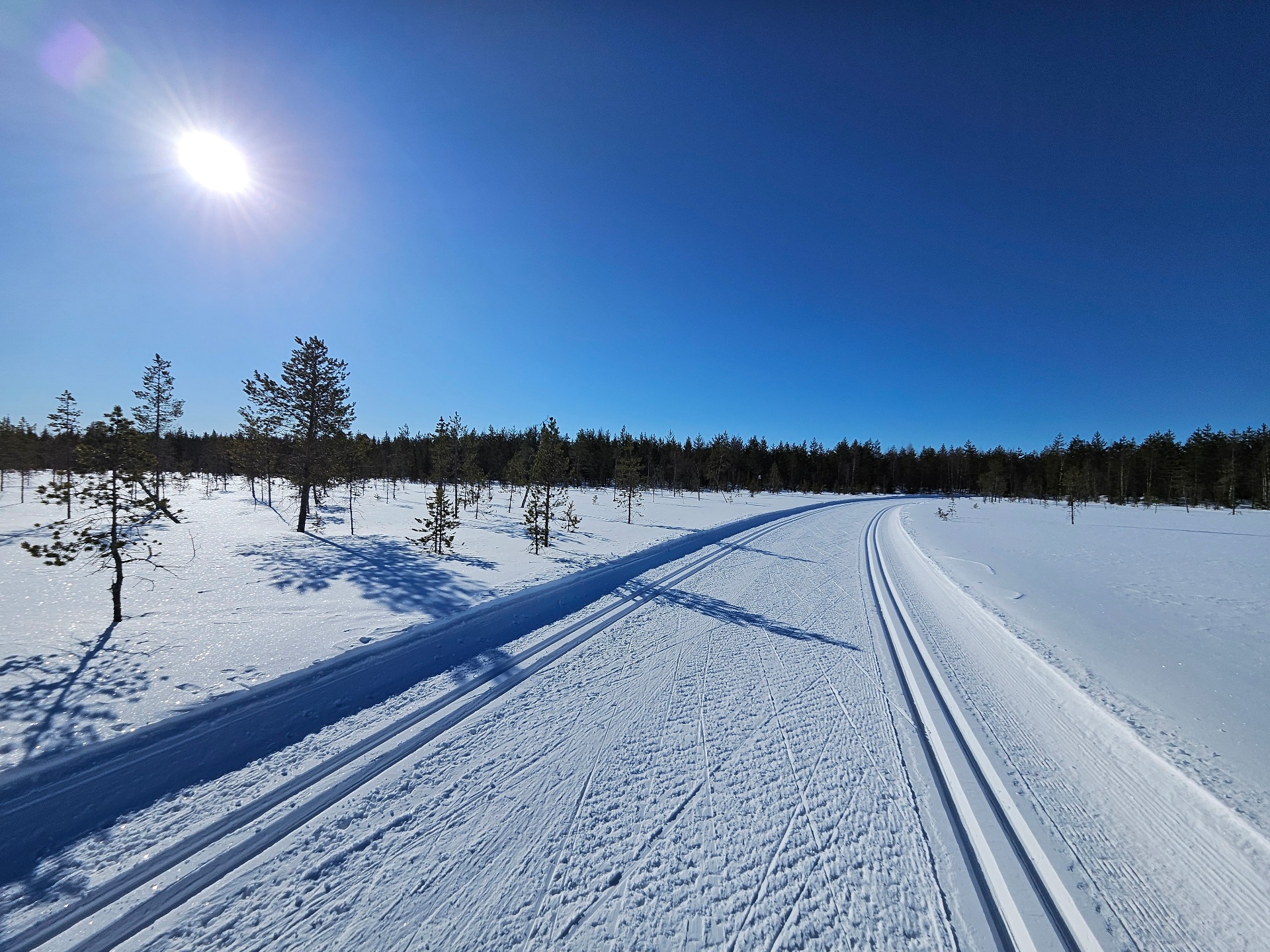 Kevät ja kevätaurinko